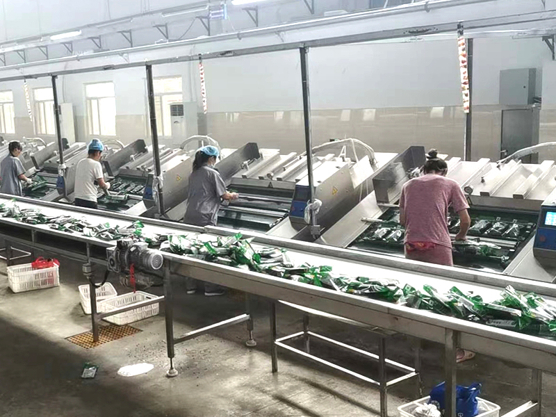 ��ʳ���׼ӹ���ˮ��