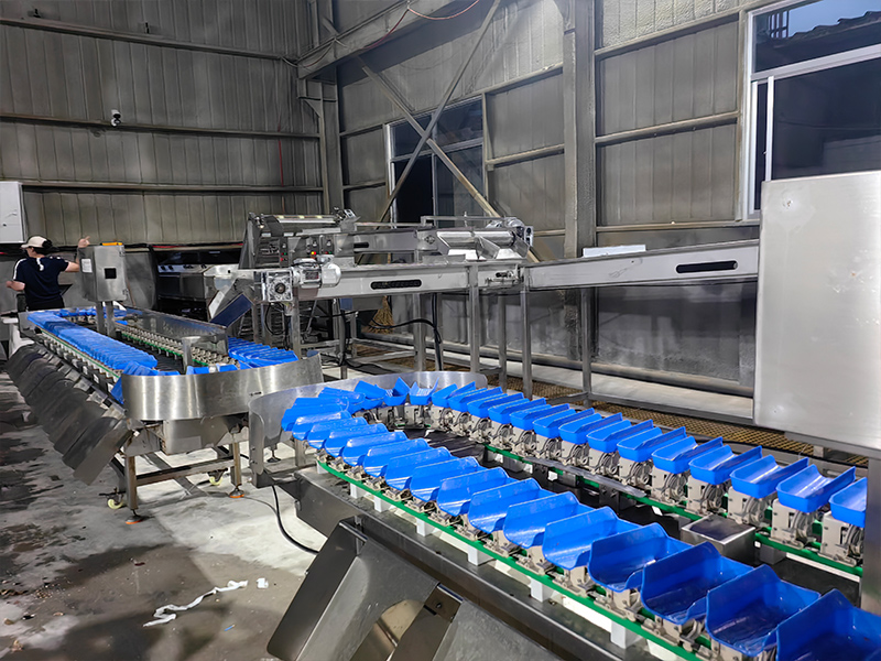 ������ѡ��